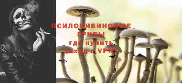 кокаин Белокуриха