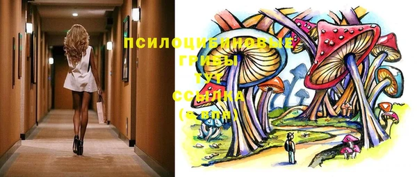 кокаин Белокуриха
