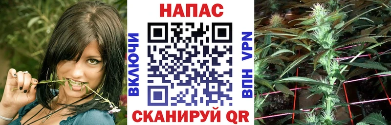 закладки Купино Каннабис конопля